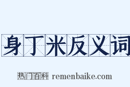 身丁米反义词是什么意思的图片